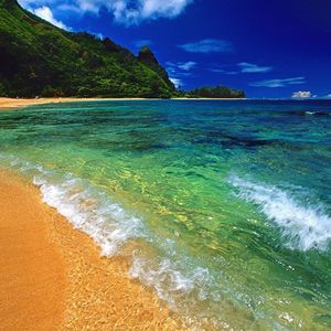 Meet your Posher, Paul